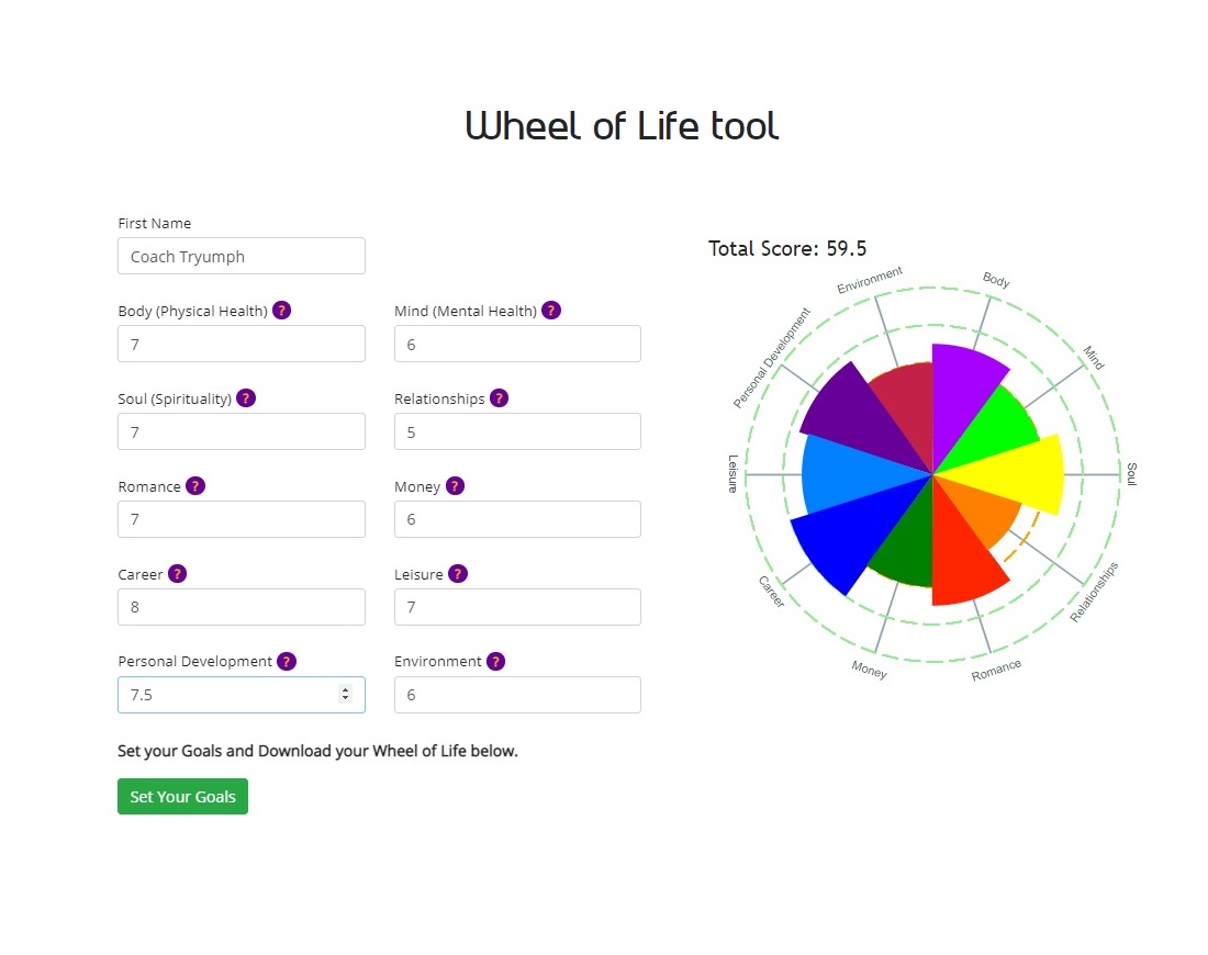 screenshot of excel wheel of life tool